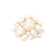 Musc blanc