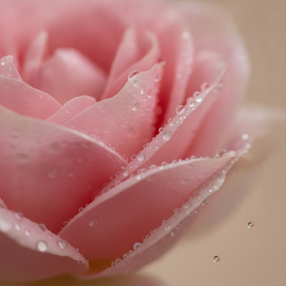 Eaux florales