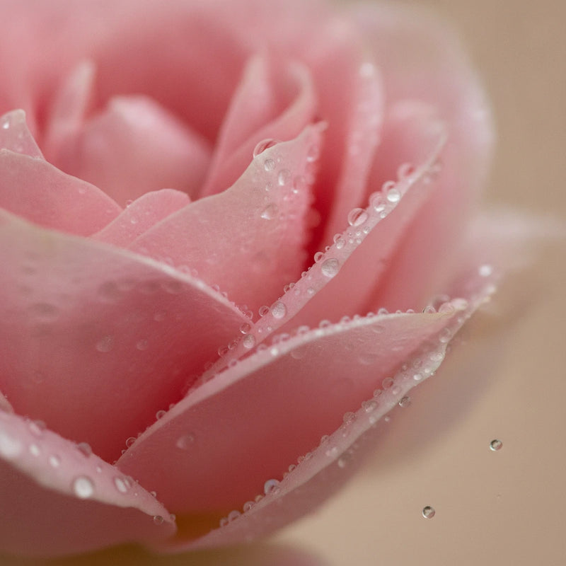 Eaux florales